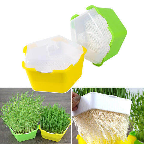 Bean Sprouts Growing Tray Seed Seedling Starter Dish Greenhouse Hydroponics Plant Cat Grass Germination Nursery Pot Grow Box BATACHARLY