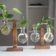 Bonsai Decor flower vase Plant Transparent Vase Wooden Frame vase decoratio Glass Tabletop Plant flower shaped bowl BATACHARLY