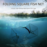 Foldable Fishing Cage Net Fish Carp Bait Cage Shrimp Basket Fish Crayfish Lobsters Catcher Tank Trap Mesh Network BATACHARLY