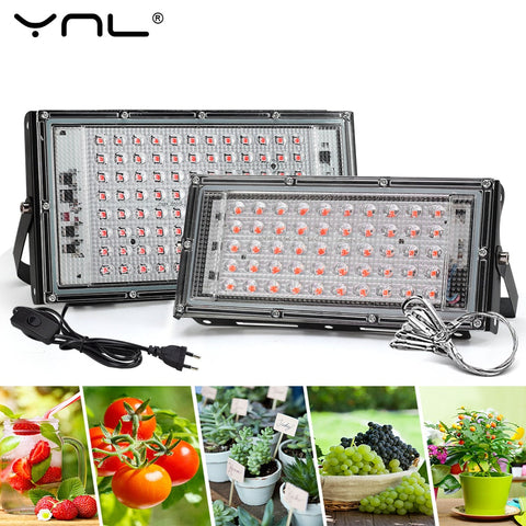 Full Spectrum LED Grow Light Phyto Lamp AC 220V 50W 100W 150W With EU Plug For Greenhouse Hydroponic Plant Growth Lighting BATACHARLY