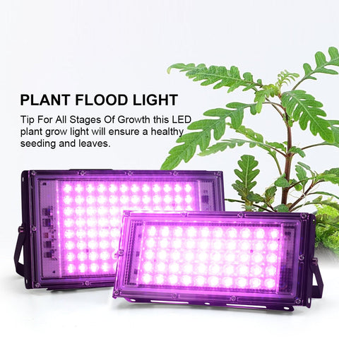 Full Spectrum LED Grow Light Phyto Lamp AC 220V 50W 100W 150W With EU Plug For Greenhouse Hydroponic Plant Growth Lighting BATACHARLY