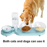 3-in-1 Cat Bowl Feeder Pet Dog Drinker Feeder Food Dispenser  Automatic Drinking Bowls Container For Food Water Bowl For Cats