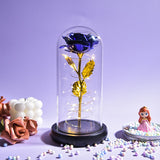 Mothers Day Gifts Beauty and The Beast Preserved Roses In Glass Galaxy Rose LED Light Artificial Flower Gift for Mom Women Girls