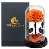 Eternal Preserved Roses In Glass Dome 5 Flower Heads Rose Forever Love Wedding Favor Mothers Day Gifts for Women Girlfriends
