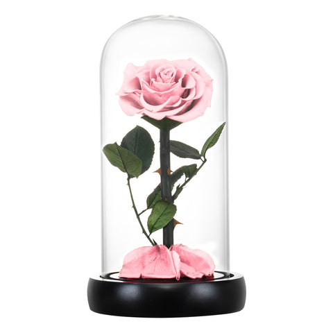 Eternal Preserved Roses In Glass Dome 5 Flower Heads Rose Forever Love Wedding Favor Mothers Day Gifts for Women Girlfriends