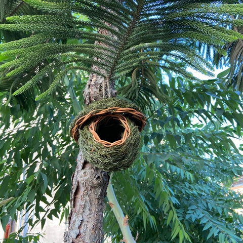 Hand-Woven Bird House Natural Grass Bird Nest Shelter Hut Small Bird Hideaway Outside Sparrows Hanging Parrot Nest Houses Pet B BATACHARLY