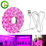 USB Phytolamps for Plants 5V LED Grow Light Strip 2835 Chip 1m 2m 3m LED Phyto Tape for Hydroponic Greenhouse Seedlings Growth