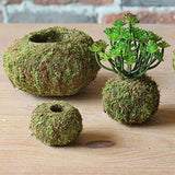 Moss Ball Pot Bird Nest Flower Green Plant Home Office Desk Table Garden DIY Decoration 6cm 9cm 12cm 15cm BATACHARLY