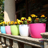 PP Self Watering Planters Flower Pots Indoor with Water Level Indicators 6x5&#39;&#39; New Hot BATACHARLY