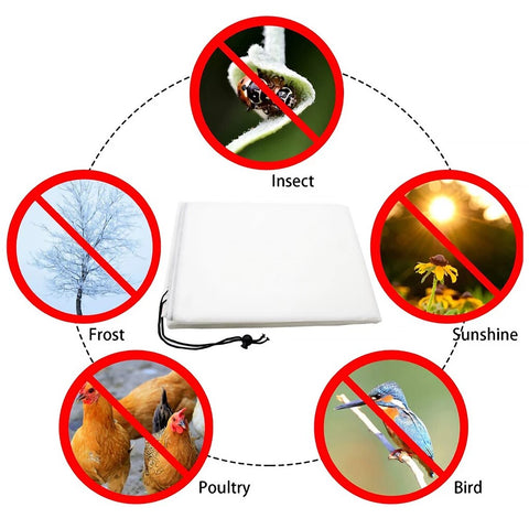 Plant Cover Winter Warm Cover Tree Shrub Plant Protecting Bag Frost Protection For Yard Garden Plants Small Tree Against Cold BATACHARLY