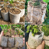 RBCFHI 100/50PCS Biodegradable Seedling Grow Bags Non-Woven Plant Nursery Pocket Seed Starting Bags for Flower Tree Vegetables