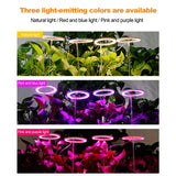 LED Grow Light Full Spectrum Phyto Grow Lamp USB Phytolamp For Plants 5V Lamp For Plants Growth Lighting For Indoor Plant