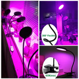 DC5V USB LED Grow Light With Control Full Spectrum Sunlike LED Phyto Lamp For Indoor Plants Seedlings Flower Home Tent