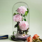 Eternal Preserved Roses In Glass Dome 5 Flower Heads Rose Forever Love Wedding Favor Mothers Day Gifts for Women Girlfriends