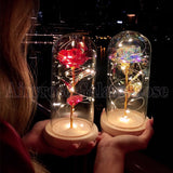 Mothers Day Gifts Beauty and The Beast Preserved Roses In Glass Galaxy Rose LED Light Artificial Flower Gift for Mom Women Girls